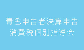 平成29年分　青色申告者決算申告・消費税個別指導会