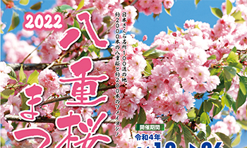 2022八重桜まつり