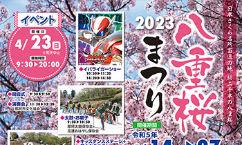 2023八重桜まつり